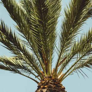 Cheap Car Hire in Lamezia Terme